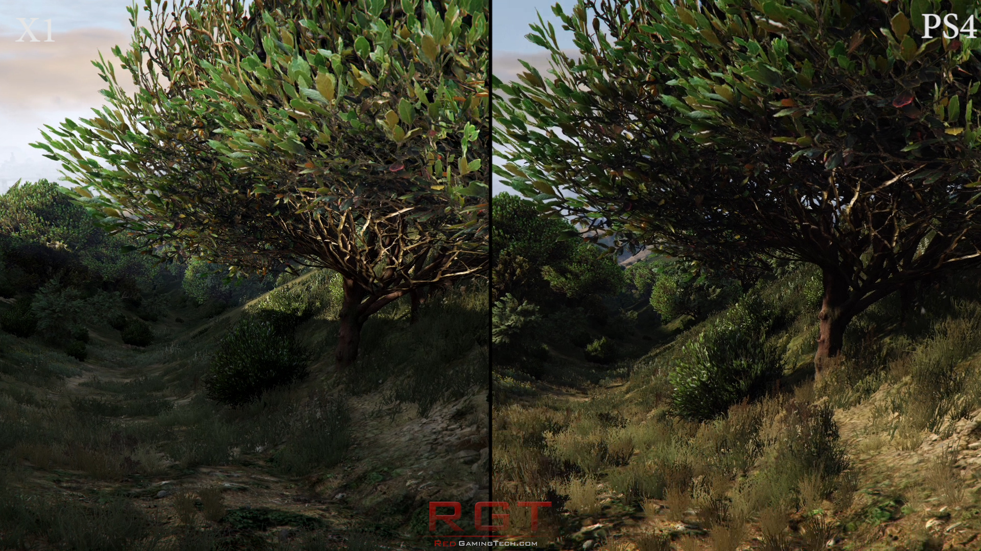 GTA 5' Has Way More Foliage On PS4 Than Xbox One