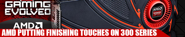 AMD-finishing-touches-300